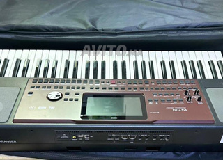Korg pa700