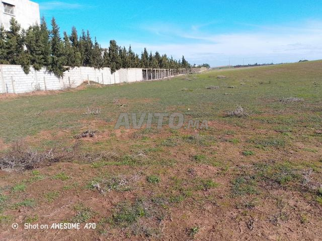 أرض للبيع محفظة بمساحة 4 هكتارات و 836 متر مربع