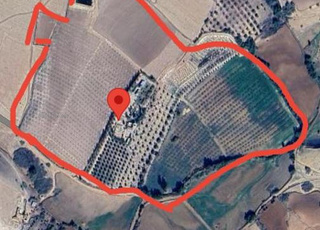 Ferme titrée à 20 km de Tiflet