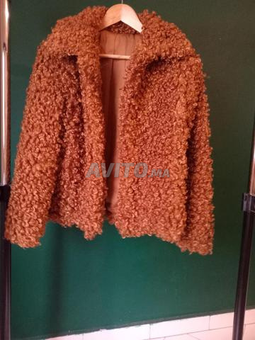 معطف زارا، بتصميم جلد الغنم للنساء، 38