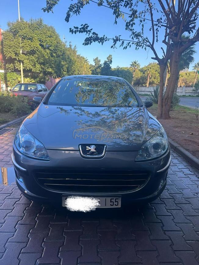 Peugeot 407
