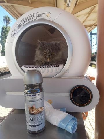 Litière automatique - 2