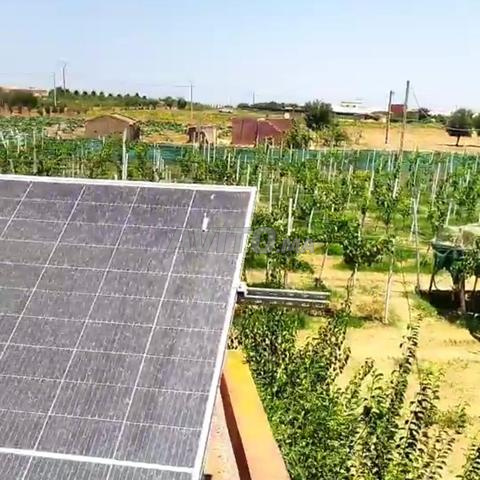 فيرمة دالية مغطاة 2 هكتار دالية مغطاة