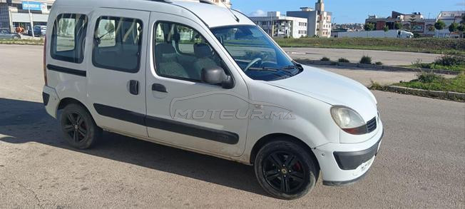 kangoo