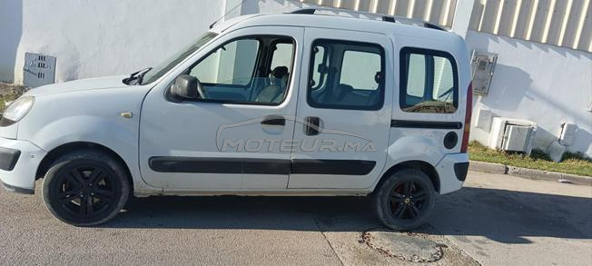 kangoo