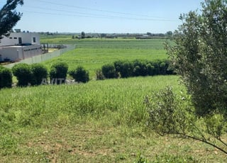 Une ferme à vendre à 5 km de Témara