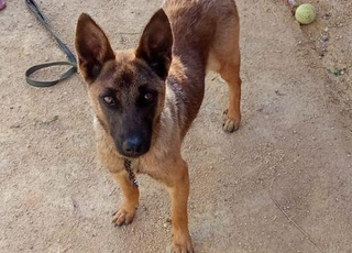 Appartement à vendre 5 m² à El Jadida