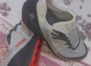 Salomon Sense Ride 4