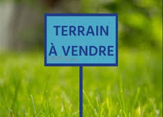 Terai 110m2 R2 tadaart