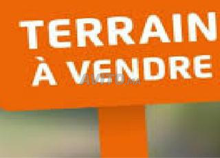 تيراي 2face 320m2 lviiila