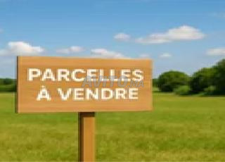 تيراي 150M2 r3 حدا دينيس