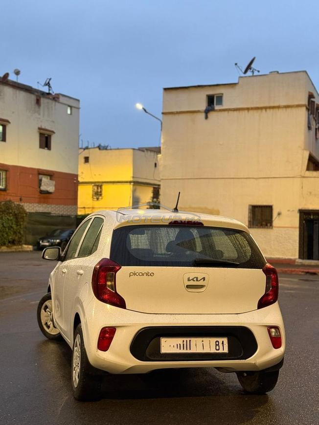 kia picanto 