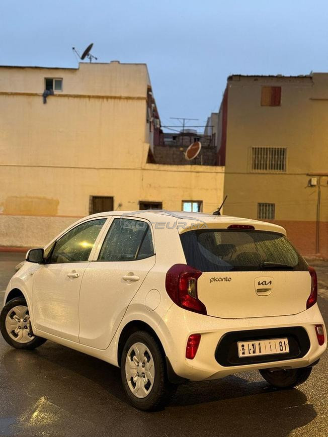 kia picanto 