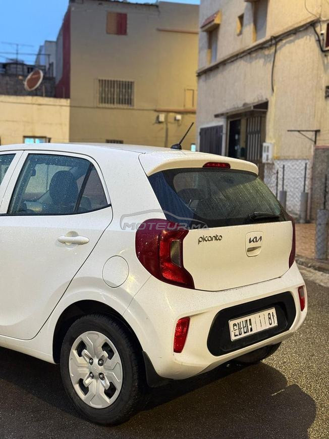kia picanto 