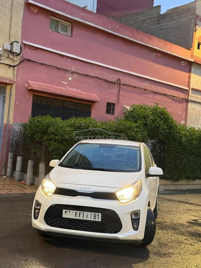 kia picanto 