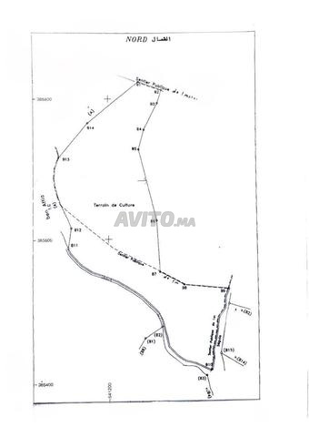4 ha Fès – Futur zone immeuble – 100 DH/m²