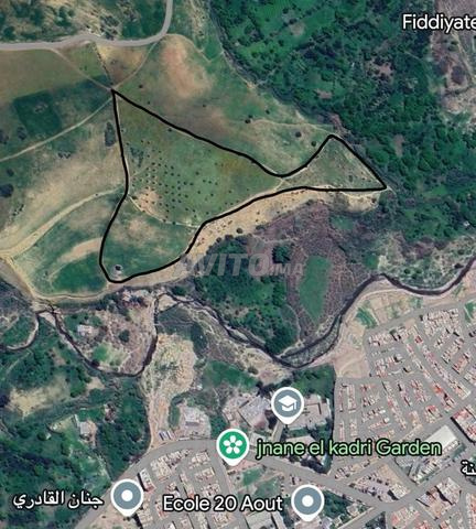 4 ha Fès – Futur zone immeuble – 100 DH/m² - 2