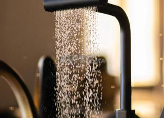 روبيني انتيليجن صنع في فرنسا