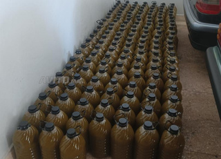 زيت زيتون بلدي حر - عصرة أولى على البارد