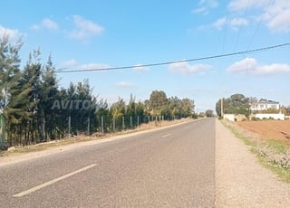 Terrain à vendre sur la route