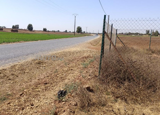 Terrain titré route goudronnée