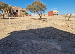 Beau terrain titré 201 m Centre Ras El Ma