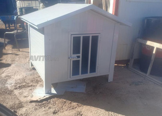 مكان مخصص للكلاب