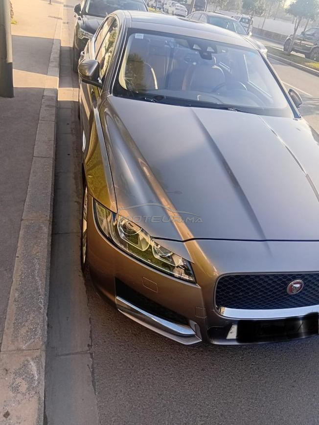 JAGUAR XF Full Option 