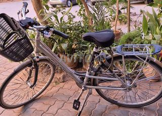 دراجة سيدتي