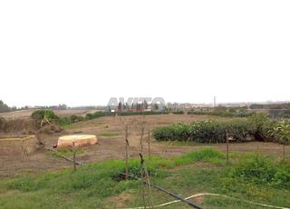 إيجار مزرعة بمساحة 18500 متر مربع في بوسكورة