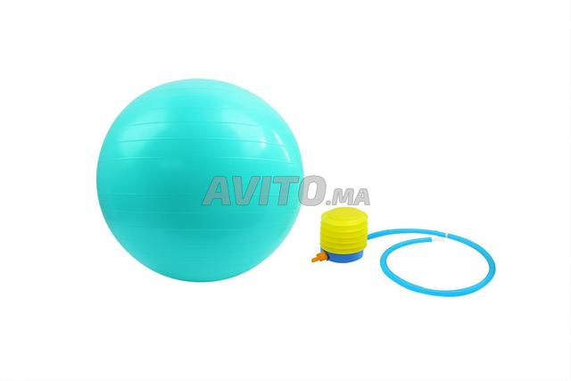 TOP SPORT Fitness Ballon de Gym avec Pompe incluse