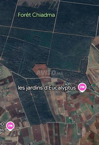 Hectare titré emplacement extraordinaire