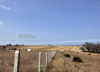 Hectare protégé et clôturé dans un emplacement panoramique