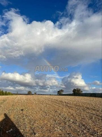أرض للبيع محفظة في منطقة زعير عيون ماسي الرباط