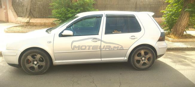 Golf 4 zebra