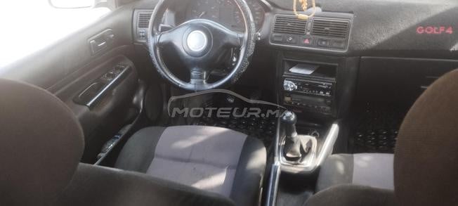 Golf 4 zebra