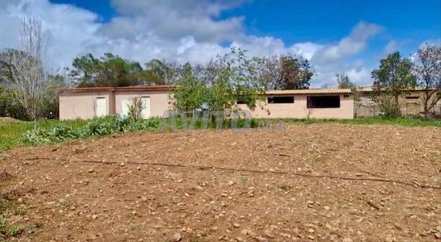 Vente ferme 2 ha Sidi Allal Bahraoui - 2
