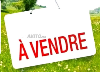 بقعة أرضية موثقة مساحتها 105 متر الوفاق