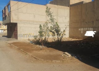 Terrain à vendre ( blan) titré deux facades