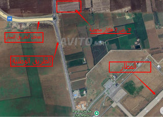 Terrain titré BENI MELLAL - Superficie 2 Hectares