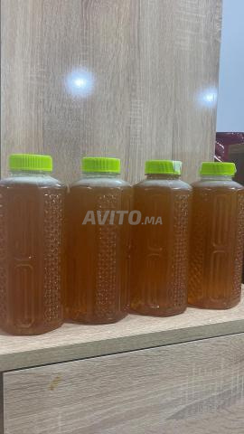 🌿 🍯 Miel d'eucalyptus pur de la forêt de Sidi Slimane