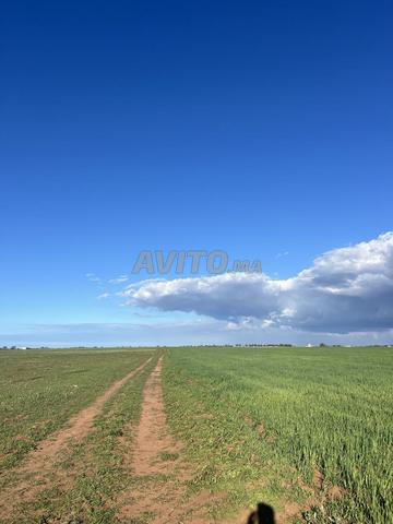 3 Hectares et 3000 metre titré super magnifique