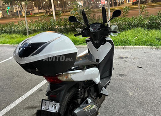 Sh Faracha Honda modèle 2012