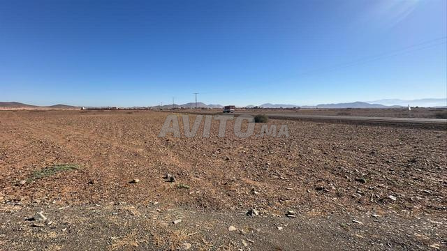 Terrain 2,5 ha à vendre à 100 DH/m² - 2
