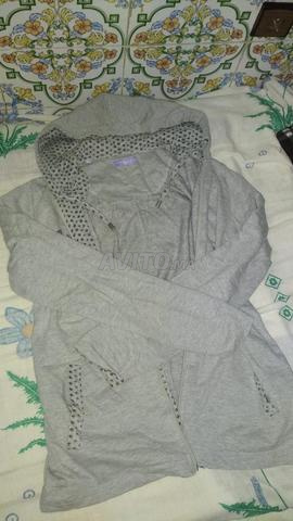 قبية رمادية