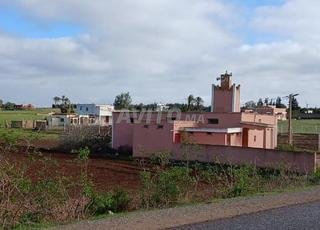 Terrain à vendre titré foncière Notaire