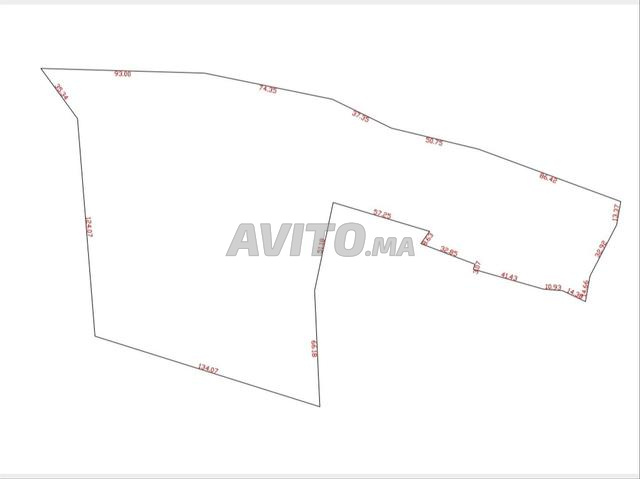 أرض مطلة على البحر - مساحة 2416 متر مربع -م