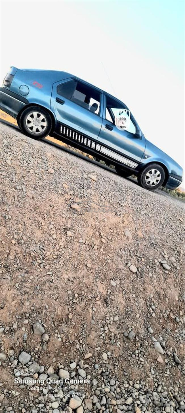 Renalut R19