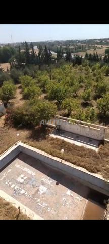 Terrain titré avec villa, piscine et cour d'une superficie de 7000 mètres carrés - 2