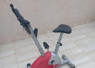 Offre de 3 vélos à un prix raisonnable